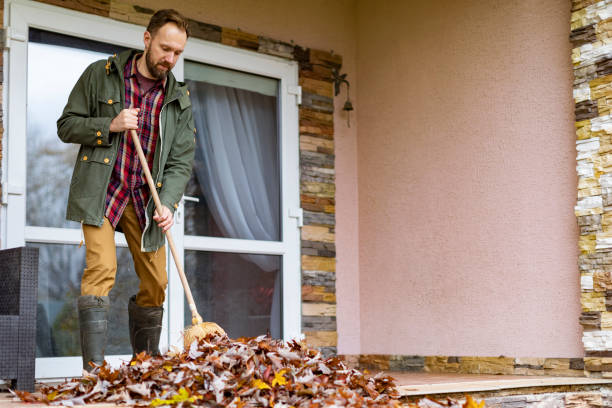 Best Basement Cleanout Services  in Tupelo, MS